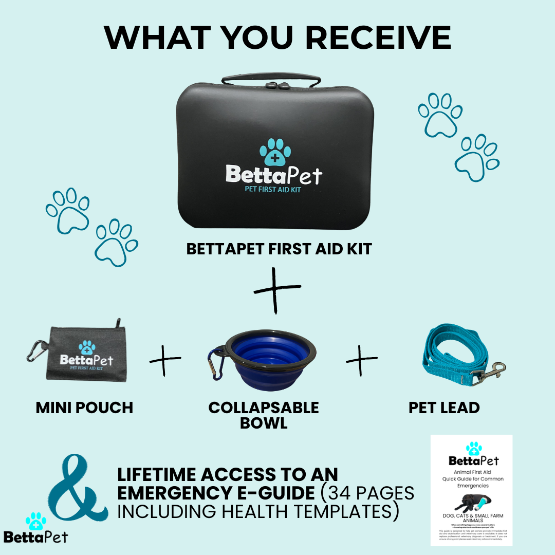 BettaPet™ First Aid Kit