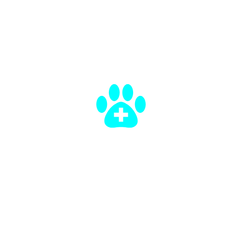 BettaPet